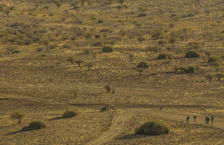 Etendeka Mountain Camp - Activities